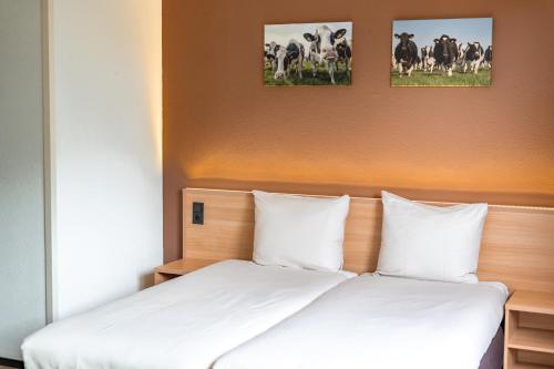 Hotel 't Zwaantje - image 2