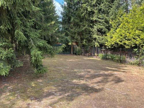 Solo tábořiště, kemp u vody, Nová Živohošť (Solo taboriste, kemp u vody, Nova Zivohost) in Krecovice - Nova Zivohost