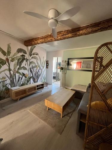 Appartement T2 centre historique