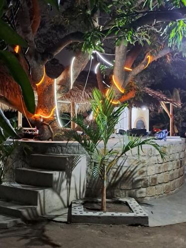 Jardin, Mango Eden Hotel in Nosy Be