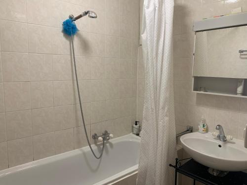 Cosy and functional apartment close to Cornavin, Geneva (photo 6)