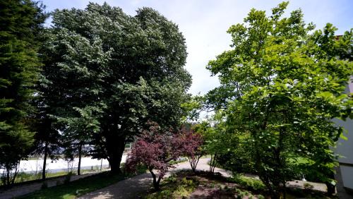 Baiona Guesthouse - image 14