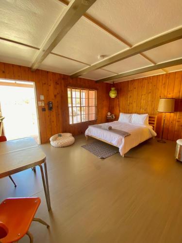 Room 8 - Downtown Joshua Tree Motel - Pet Friendly - Walk to Shops & Visitor Center, Minutes to Park Entrance, Joshua Tree (photo 4)
