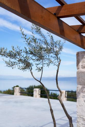Queen Bee Luxury Villa- Sparto - Location, gîte - Spárton