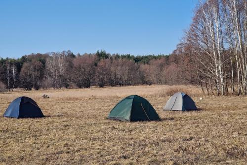 Pole namiotowe Chesterfield in Seroki Wies