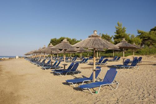 Blue Dolphin Hotel - image 14