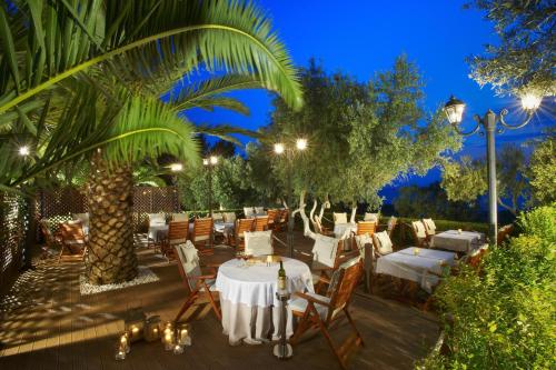 Blue Dolphin Hotel - image 5