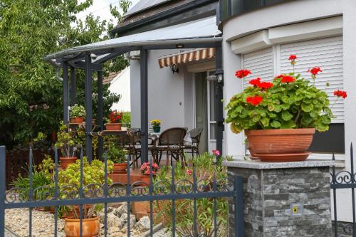 Molnar Apartment in Sarvar