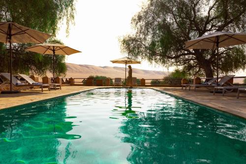 مسبح, مخيم ألف ليلة (Thousand Nights Camp) in الرمال الشرقية (وهيبة)