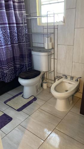 Tropical Westend Oasis in 西夏洛特阿馬利亞