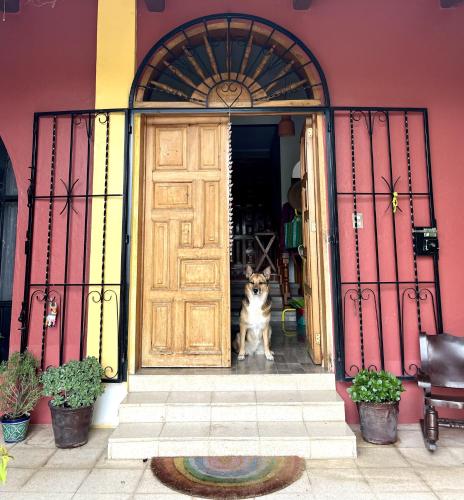 Exterior view, Casa MachiKouss - Habitacion Machi in Santo Domingo Barrio Alto
