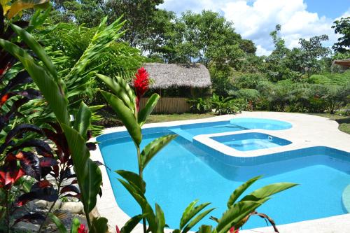 Huasquila Amazon Lodge in Cotundo