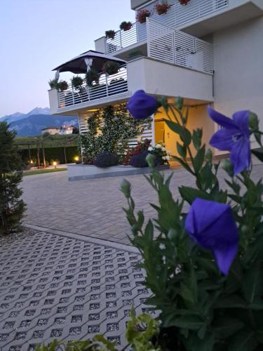 Le Rocce Val di Non - Quality Room & Breakfast - Taio