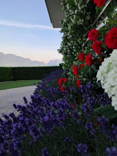  Le Rocce Val di Non - Quality Room & Breakfast in Tassul