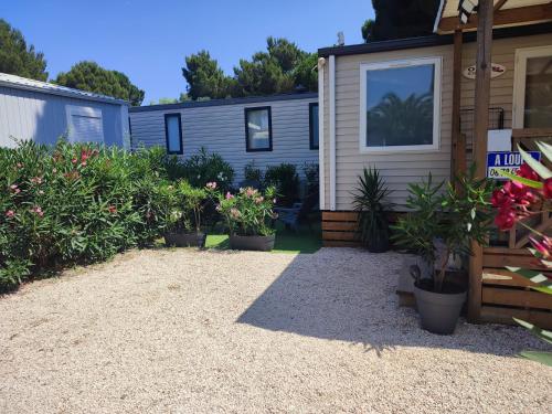 Camping - Argelès-sur-Mer -  - Camping DEL MAR Mobil-home 3 ch dont suite parentale ARGELES sur MER - Image #4