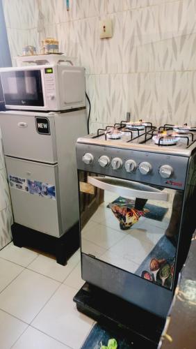 One-Bedroom Apartment image 2