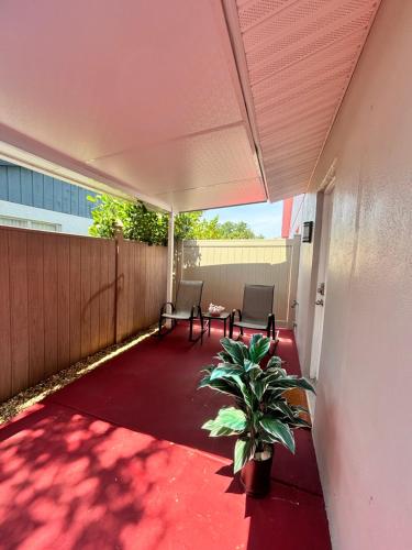 Grey Novo Studio + free-parking&wifi in Tampa, USA