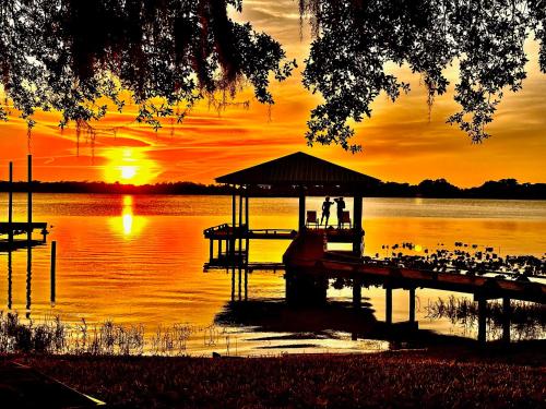 Lakeside Lily Pad