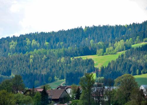 Apartament Pod Łanem obrázok