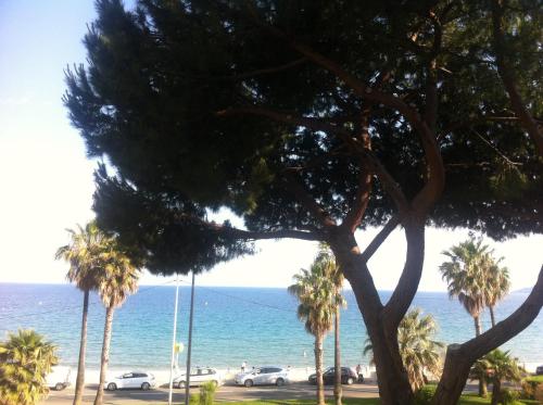 Cannes Sea front terace iland view parking AC wifi
