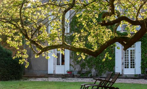 Chateau de l'Abbaye - Teritoria - 출입구