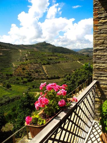 Hotel Rural da Quinta do Silval - image 8