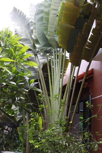 An Bang Gold Coast Beach Villa, Hoi An (foto 9)