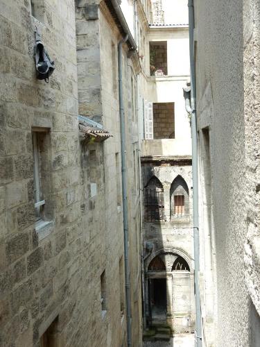 Coeur de Saint Pierre, Бордо (фото 6)