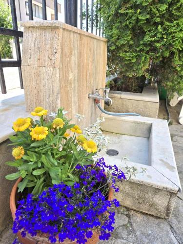 Family Hotel Primo - image 13