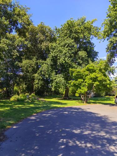 Surrounding environment, Cozy 3 安逸舒适小屋 in Mairehau