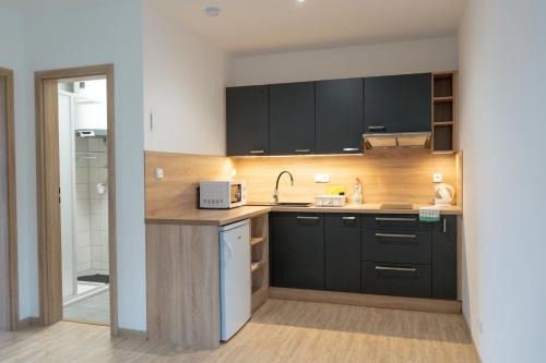 Pension u Vlcku in สตไรโบร