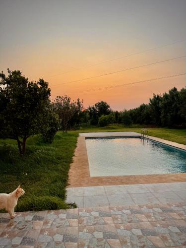 Villa amina, Ounagha