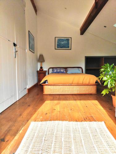 Shifting Sands Surf House – Labenne, KY