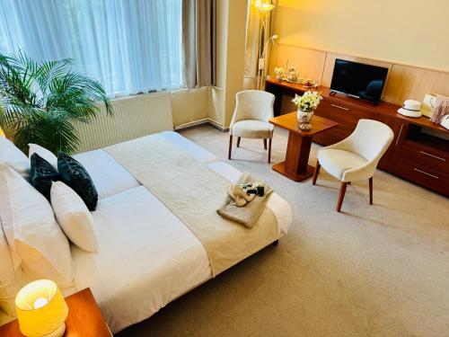 Plaza Hotel Gyula - Hôtel - Gyula
