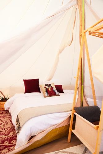 bosco glamping - Sandomierz