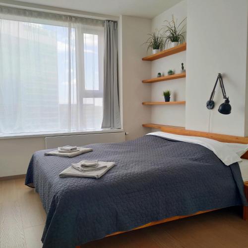 SAG 19th floor Panorama City apartment 2 rooms free parking Free wifi, Bratislava (photo 5)