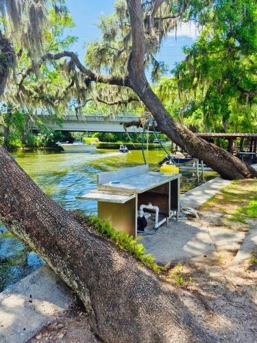 Szórakozási lehetőségek, Cottage 33, Pineapple Place - Dora Canal Court - a downtown, waterfront community in Tavares (Florida)