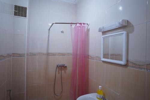 One-Bedroom Apartment image 7