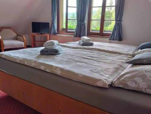 Pension U Háčků, Harrachov (fotografie 5)