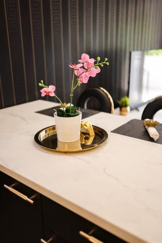 Luxury Apartments Elizabeth - image 14
