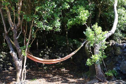 กิจกรรม, Casas do Caminho Novo in เซา รอก โด ปิโก