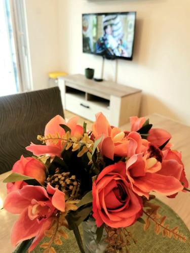 Trajkovic One Bedroom Apartment - Location saisonnière - Sokobanja