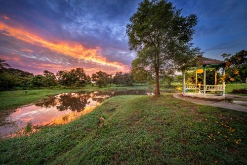 Garden, U Resort Nakhon Ratchasima near Pak Thong Chai Hospital