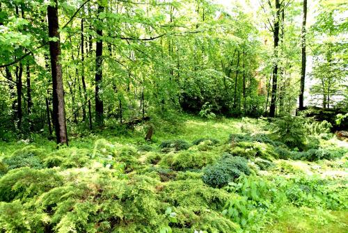 자코파네 Domek Drewniany Tetmajera Centrum Zakopane 4성급 싱글룸 레스토랑