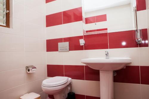 Hotel Pini - image 2