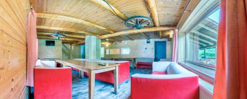 Cabana Tamas - image 7