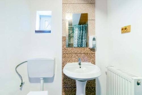 Cabana Tamas - image 10