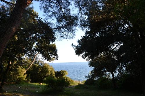 Easyatent FKK Safari Tent Koversada - image 10