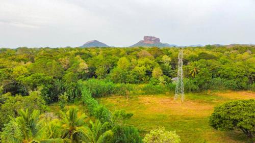 Sigiriya Elegant Resort - image 4