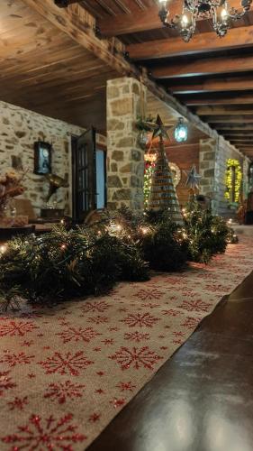 大堂, Panorama Prespes in 阿吉奧斯格爾馬諾斯